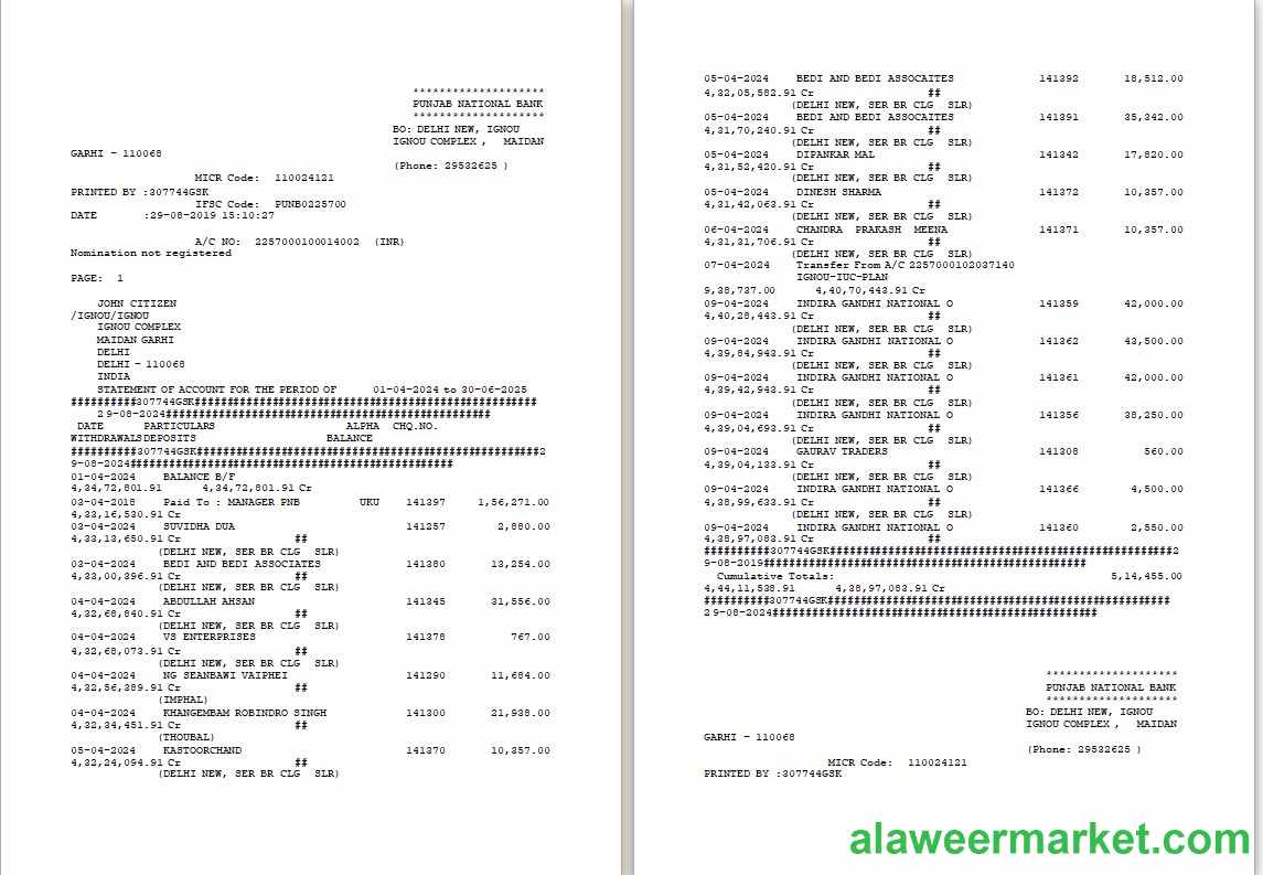 UAE Dubai PNB bank statement Word and PDF template, 2 pages